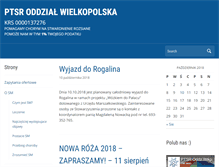 Tablet Screenshot of poznan.ptsr.org.pl